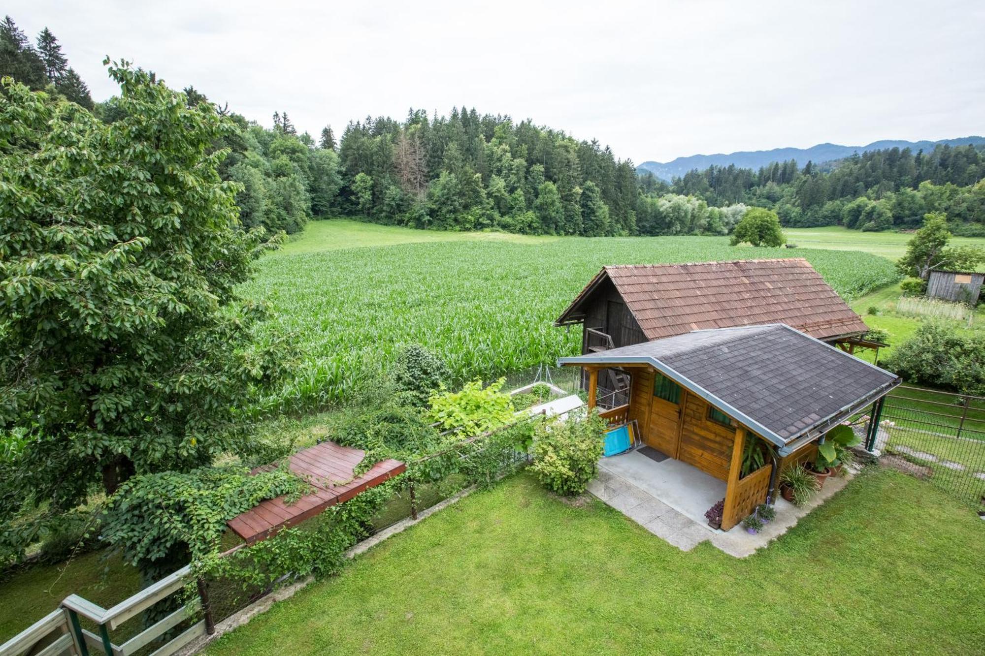 Apartment Ina Bled Bagian luar foto